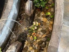 -湘芙蓉·湖南菜(椒江店)