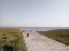 -南汇嘴观海公园