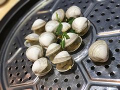 -海大大蒸汽海鲜餐厅·粤菜·特色小炒(欢乐颂店)