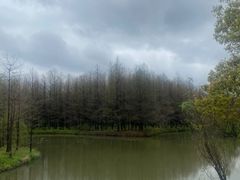 -安飞驰驾校·学车连锁(金高店)