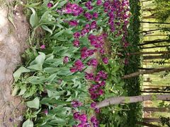 -长春公园(普阳街道)