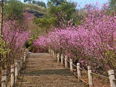 -天台山赤城山景区