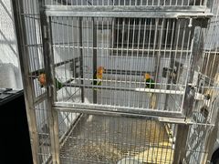 -观桥阁(锦溪店)