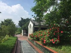 -广州神农草堂中医药博物馆