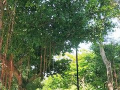 -屯门公园