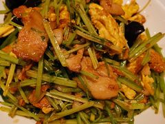 -北李妈妈菜·海肠捞饭(高新万达店)