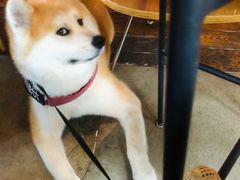 -the rug 飞毯 (朝阳公园店)