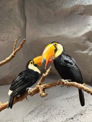 -Zoolung Zoolung动物主题公园(海信广场店)