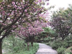 -四明山国家森林公园