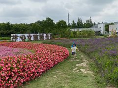 -灵福缘私房菜·农家菜(拈花湾·灵山大佛必推店)