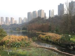 -重庆彩云湖湿地公园
