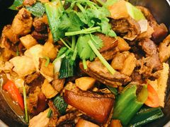 羊肉煲-锦粤宫·精致粤菜(深圳北站店)