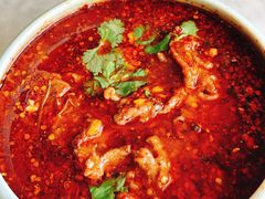 -雀蓝川菜(奥体广场店)