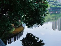 -重庆彩云湖湿地公园
