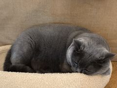 -Me Coffee下午茶艺术空间