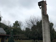 -美丽洲堂