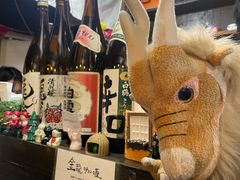 -金龙咖喱