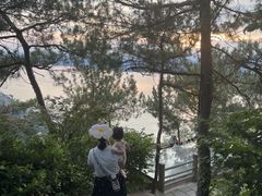 -千岛湖天屿景区