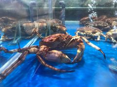 -盒马X会员店(王府井奥莱UP TOWN店)