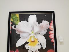 -德基艺术博物馆