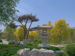 -水西公园