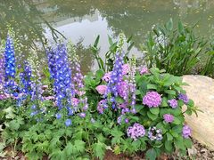 -人民公园(罗湖区)