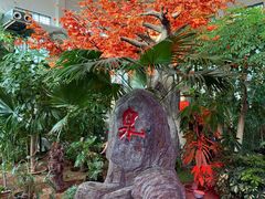 -东方华地城湿地温泉度假区