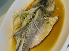 黄河大鲤鱼-东华天喜楼(涧西店)