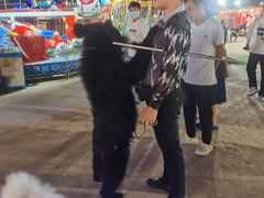 -东戴河风景区-止锚湾