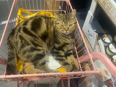 -萌兽医馆·眼科·异宠专科(三里屯店)