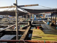 -蓝湾碧波·老字号·疍家非遗海上餐厅