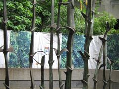 -香港大学