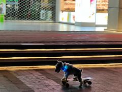 -吴山路夜市