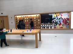 -Apple零售店(玄武湖店)