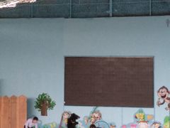 -武汉紫薇都市田园