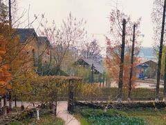 -乌村