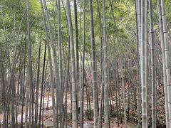 -敬亭山风景名胜区