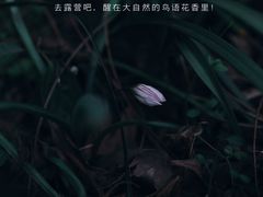 -尚贤河湿地