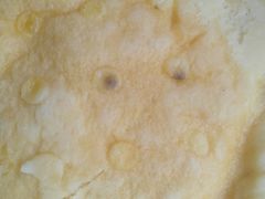 -老六杀猪菜(进乡街店)