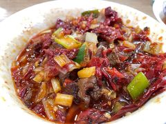 辣皮子滚刀肉拌面-歹歹的加个面过油肉拌面