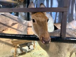 -酷嗒动物文化乐园(cutezoo西溪乐天城店)