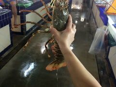 -班赞海鲜市场胖阿姨加工点