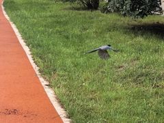 -木塔寺遗址生态公园