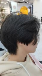 -FINE HAIR造型沙龙