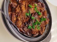 -日日香卤鹅饭店·澄海狮头鹅(澄海店)