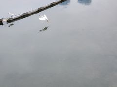 -望江楼公园