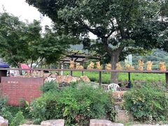 -树山生态村