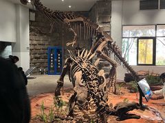 -自贡恐龙博物馆