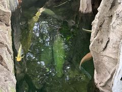 -青青世界