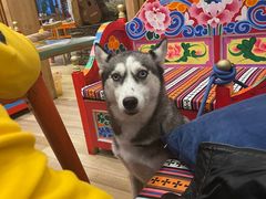 -四姑娘山阿巴郎·藏式花园餐厅